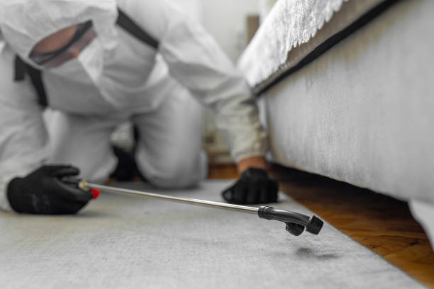 Professional Bed Bug Control technician working in Adams County County, OH